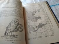 Лот: 18444185. Фото: 8. Карташев Н. Н. Систематика птиц...