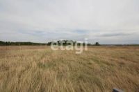 Лот: 25294886. Фото: 2. участок , садовые участки Штаны... Продажа
