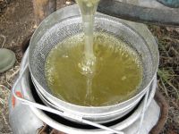 Лот: 3038170. Фото: 2. МЕД Зрелый кипрейный откачан 2018... Продукты