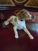 Лот: 25714855. Фото: 6. "Охотничий пёс" Karl Ens, Германия...