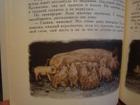 Лот: 8368087. Фото: 4. За сказкой-рассказ, за рассказом-сказка... Красноярск
