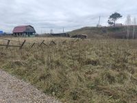 Лот: 25821695. Фото: 3. Земельный участок. Недвижимость