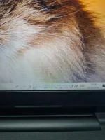 Лот: 25896009. Фото: 6. Ноутбук Dell Inspiron 15 41113