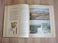 Лот: 21429967. Фото: 5. книга Вавилов пять континентов...