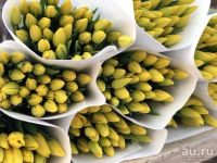 Лот: 13318496. Фото: 10. Крупные тюльпаны оптом. Прямая...