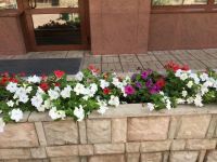 Лот: 25386324. Фото: 7. 1-комн. квартира , Красноярск...