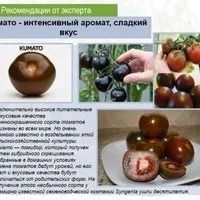 Лот: 10590642. Фото: 5. Кумато. необычные томаты. семена