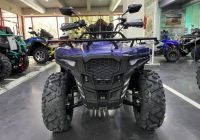 Лот: 25659213. Фото: 4. Квадроцикл IRIDE Wolf 300. Красноярск