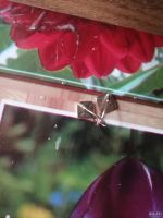 Лот: 16314184. Фото: 2. Сережки. Ювелирные изделия, бижутерия, часы