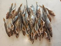 Лот: 7087511. Фото: 3. Окунь вяленый. Красноярск