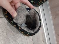 Лот: 17113127. Фото: 2. Ботинки Котофей. Обувь