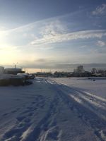 Лот: 10666200. Фото: 8. Торговое помещение 648 м? в г...