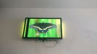 Лот: 11043811. Фото: 6. Телевизор Philips 37PFL8404H/60