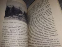 Лот: 19131046. Фото: 5. Бех И.А., Таран И.В. Сибирское...