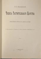 Лот: 19931181. Фото: 2. П.Е. Васильковский. Чудеса растительного... Антиквариат