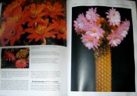 Лот: 25610505. Фото: 5. Вермелен Нико. "Кактусы". Все...