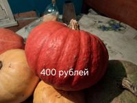 Лот: 24399666. Фото: 5. Тыквочка-тыква.