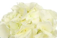 Лот: 23953139. Фото: 2. Искусственное растение Hoff Гортензия. Предметы интерьера