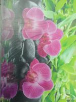 Лот: 8050441. Фото: 4. кухонный фартук орхидея. Красноярск