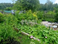 Лот: 25288442. Фото: 5. 3-комн. дача , садоводческое некоммерческое...