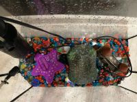 Лот: 13883090. Фото: 6. Аквариум 30 л панорамный полностью...