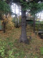 Лот: 4565968. Фото: 2. Продам дачу Ермолаево (СНТ Строитель... Продажа