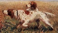 Лот: 15224057. Фото: 3. дореволюционная открытка * собаки... Коллекционирование, моделизм
