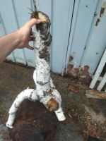 Лот: 22835993. Фото: 4. Коряга березовая