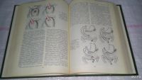 Лот: 8842005. Фото: 3. Клиническая хирургия, Юрий Панцырев... Литература, книги