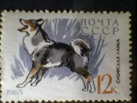 Лот: 5277195. Фото: 2. СССР1965 Служебные и охотничьи... Коллекционирование, моделизм