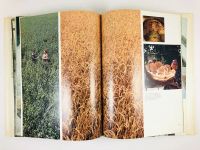 Лот: 23293232. Фото: 10. Узбекистан. Узбекская Советская...
