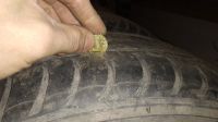 Лот: 15646809. Фото: 5. Летние шины Nokian Nordman SX...