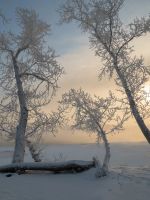 Лот: 17115636. Фото: 7. Olympus E-PL-5 (пробег 7200+ )