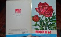Лот: 6360976. Фото: 2. Комплект открыток "Пионы". Открытки, билеты и др.