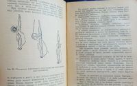 Лот: 25728612. Фото: 6. Д. Колганов. Как ловить рыбу удочкой...