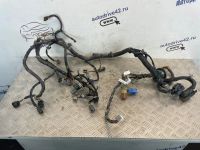 Лот: 24591861. Фото: 18. проводка подкапотная Nissan Almera...
