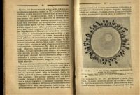 Лот: 19932315. Фото: 13. Тезинг К. Размножение и наследственность...