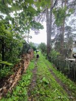 Лот: 23961753. Фото: 3. Дача. Недвижимость