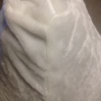 Лот: 8818564. Фото: 4. Кресло-мешок "Белый медведь" S-размера... Красноярск