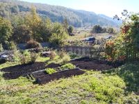 Лот: 25325151. Фото: 6. 2-комн. дача , СТ Восток СТ Восток...