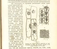 Лот: 17970076. Фото: 21. В.Палладин . Курс ботаники.* 1900...