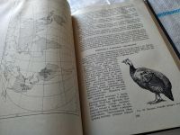 Лот: 18444185. Фото: 9. Карташев Н. Н. Систематика птиц...