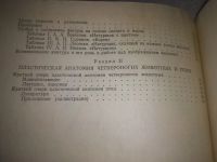Лот: 24581166. Фото: 5. oz(3092315)Рабинович М. Ц. Пластическая...