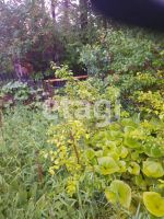 Лот: 25295489. Фото: 8. 1-комн. дача , ПСО Звезда-1 ПСО...
