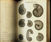 Лот: 16253939. Фото: 12. Энциклопедический словарь Товарищества...