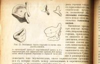 Лот: 18066906. Фото: 10. Дмитрий Николаевич Ушаков. Краткое...