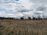 Лот: 13823953. Фото: 3. участок Таскино. Недвижимость