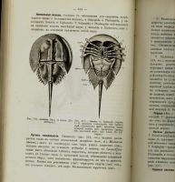 Лот: 20410979. Фото: 4. Руководство к Зоологии. Т. Джеффери... Красноярск