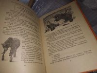 Лот: 16148945. Фото: 5. Дуров В., Мои звери, Рассказы...