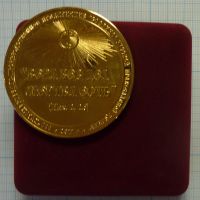 Лот: 15828346. Фото: 2. Россия Медаль 2011 Пархаев Е... Значки, медали, жетоны